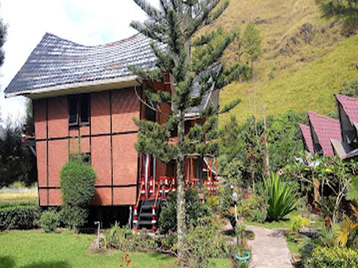 Roman Sinasi Hotel Tongging エクステリア 写真